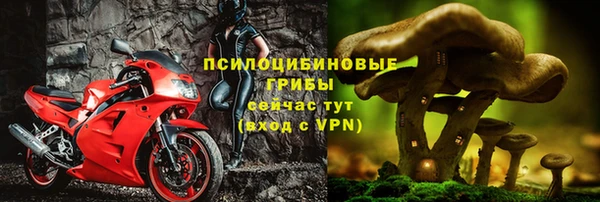 бутират Алзамай