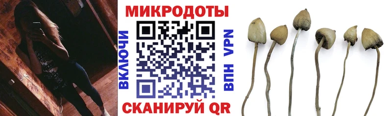наркошоп  Салехард  Псилоцибиновые грибы Psilocybine cubensis 